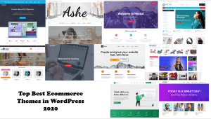 Read more about the article Top Best Ecommerce Themes in WordPress 2023
